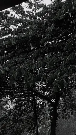 What was I made for?