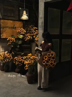 shape of my heart