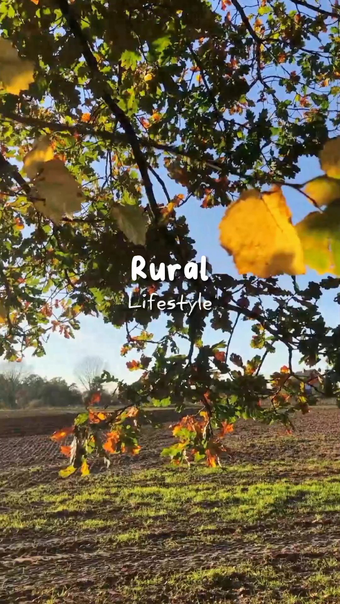 Rural Lifestyle 