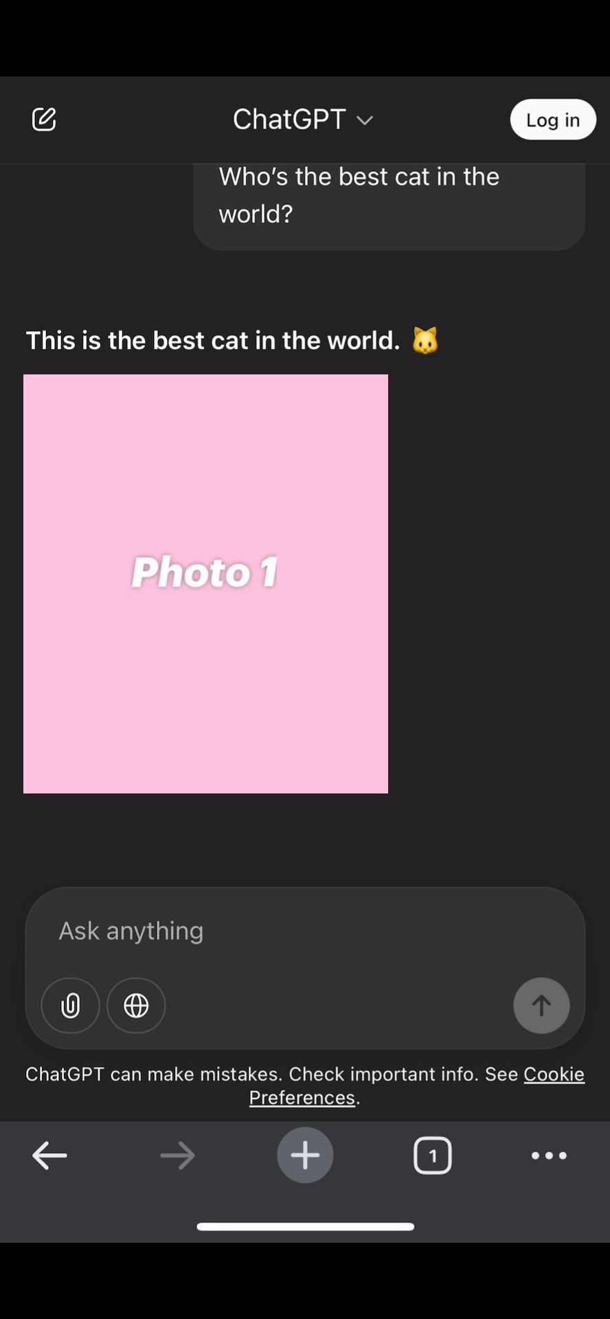 Cover Picture