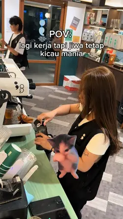 POV Kicau Mania
