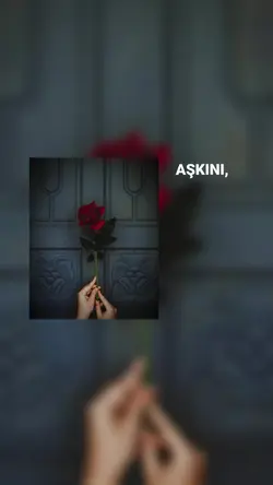 قالب فخم جربوه 