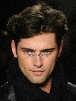 trend human symmetry