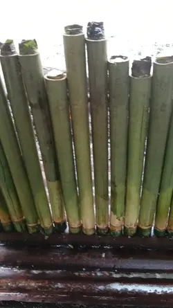 bakar lemang