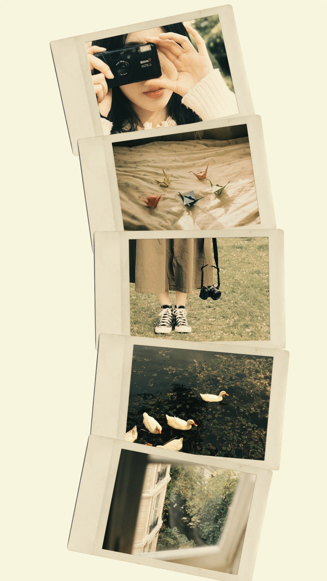5-Rahmen-Polaroid 