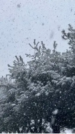 Ağır çekim şablon❄️❄️