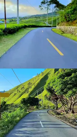 2 video collage