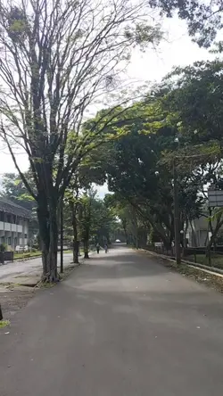 tanpa lirik