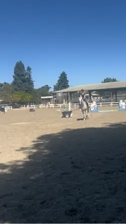 FAKE| this horse 🤩