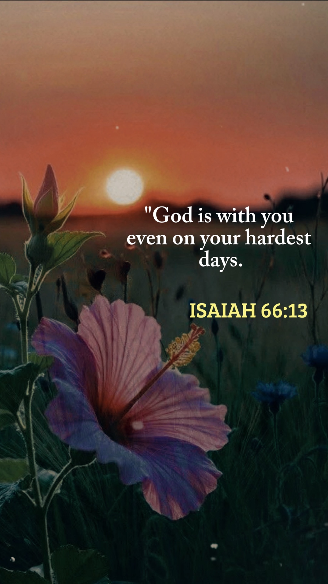 Bible verse 