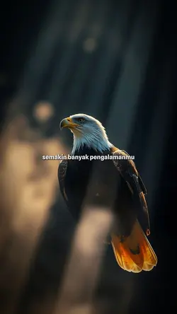 Pengalaman membuatmu