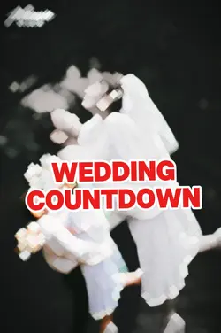 Wedding Countdown 