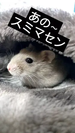 簡単に作って見ました