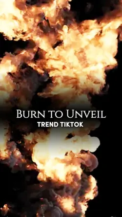 EFFECT REVEAL