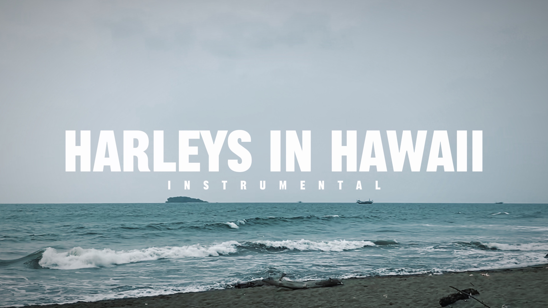 Harley In Hawaii