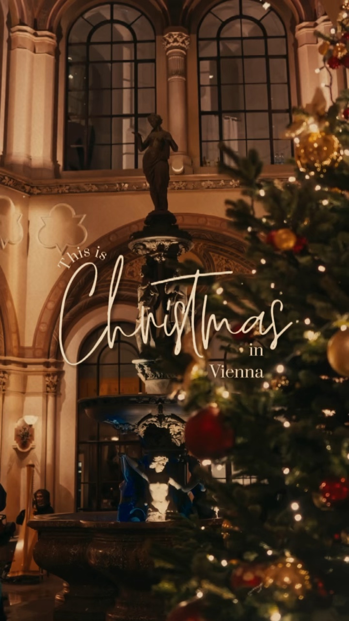 크리스마스가 온다 🎄🎄🎄