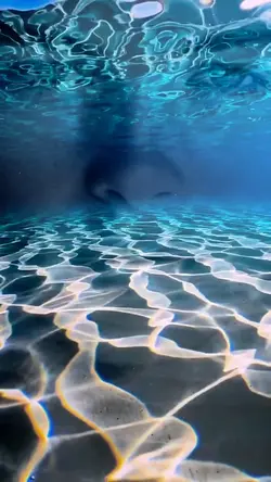 DEEP BLUE SEA