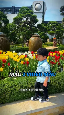 Mẫu 2 video màu mượt