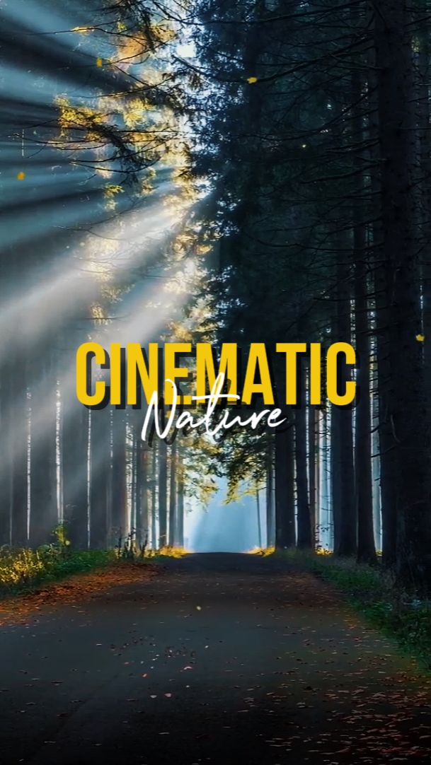 CINEMATIC NATURE