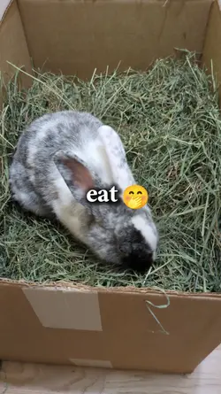 Spoiled Boy