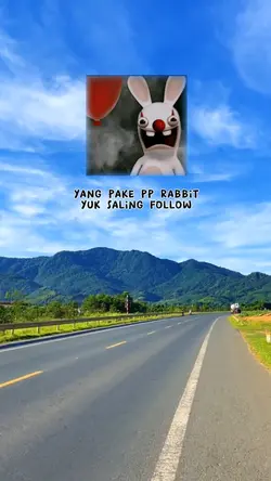 pp rabbit