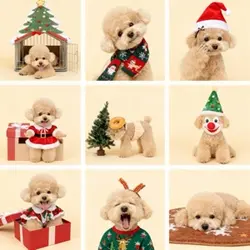 Ghép ảnh thú cưng