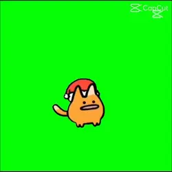 크리스마스고양이나눔