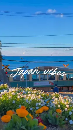 Japan vibes