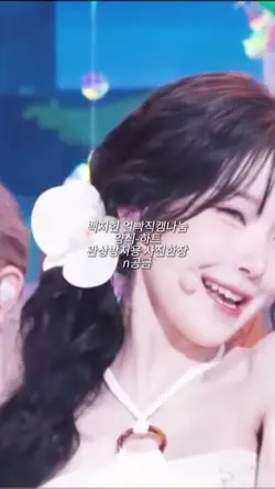 백지헌