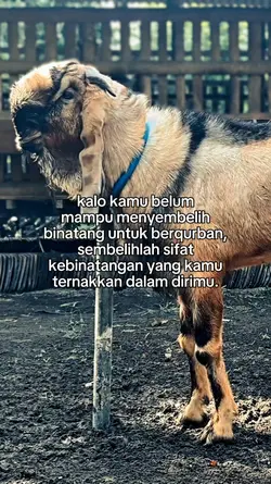 Quotes Qurban 