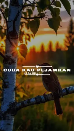 CINTA KNGAN SILAM