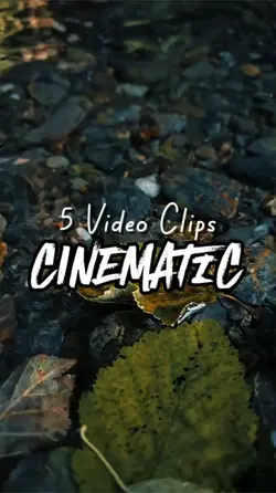 5 video clips 