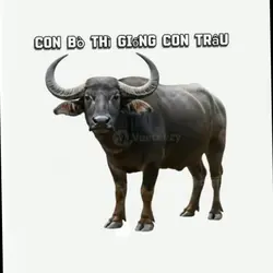 Con bò thì giống con