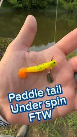 Paddle tail ftw