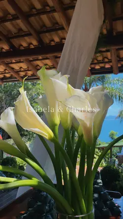 Decor Casamento