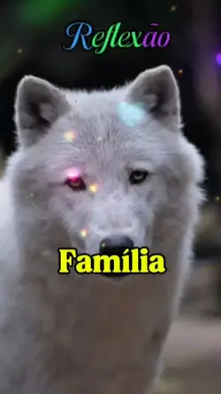 Família 