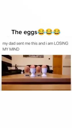 The eggs