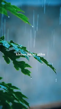 Klebus Vibes Hujan