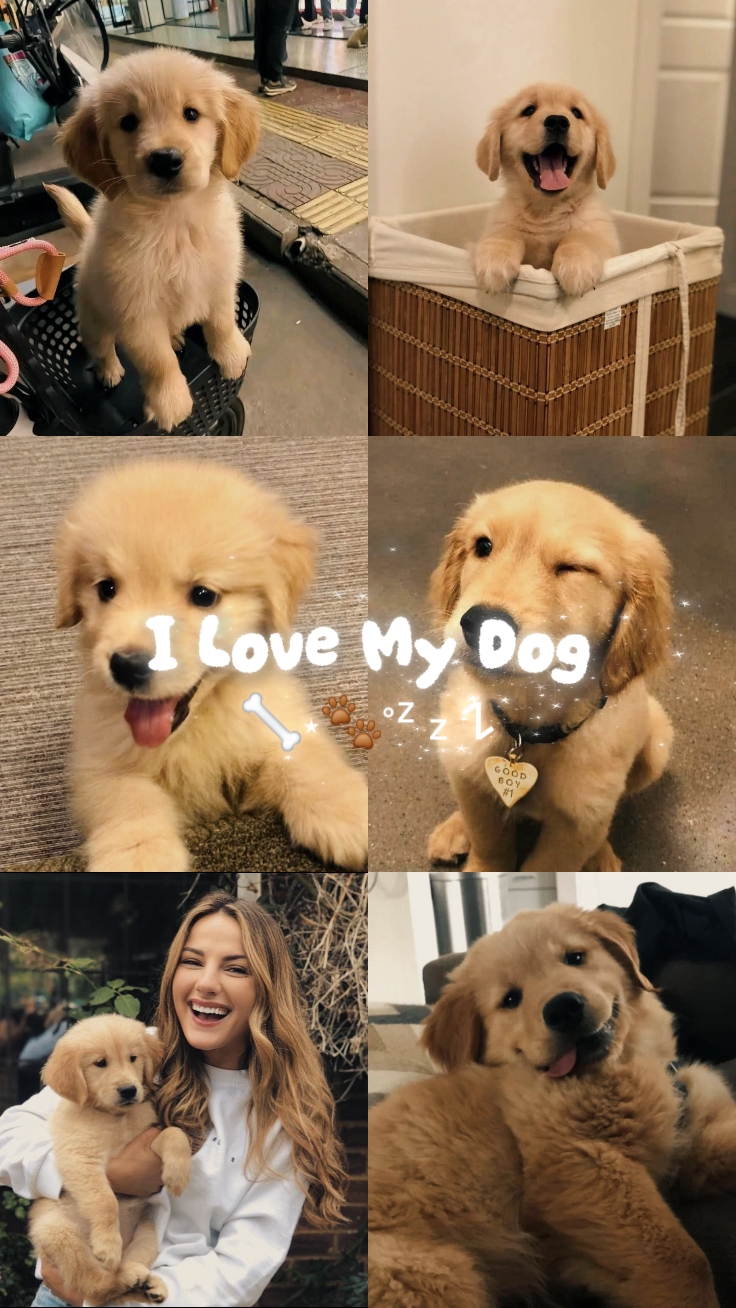 Amo A Mi Perro Recorte