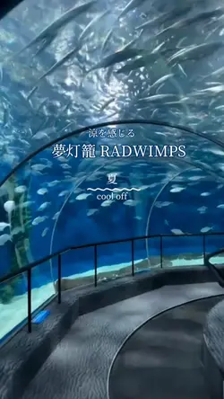 夢灯籠 RADWIMPS 夏