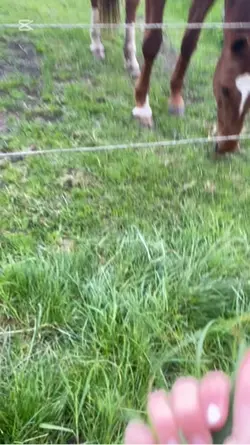 Watch till the end 