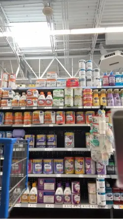 Vlog