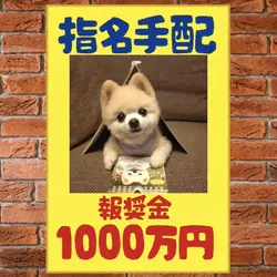 指名手配 報奨金1000万円