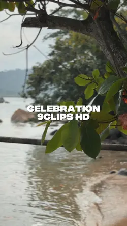 Celebration 9C