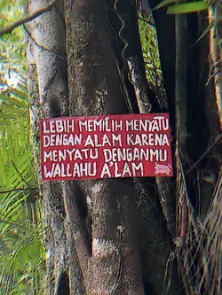 lebih memili menyatu