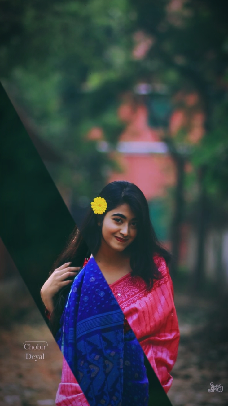 vairal- bearbeiten