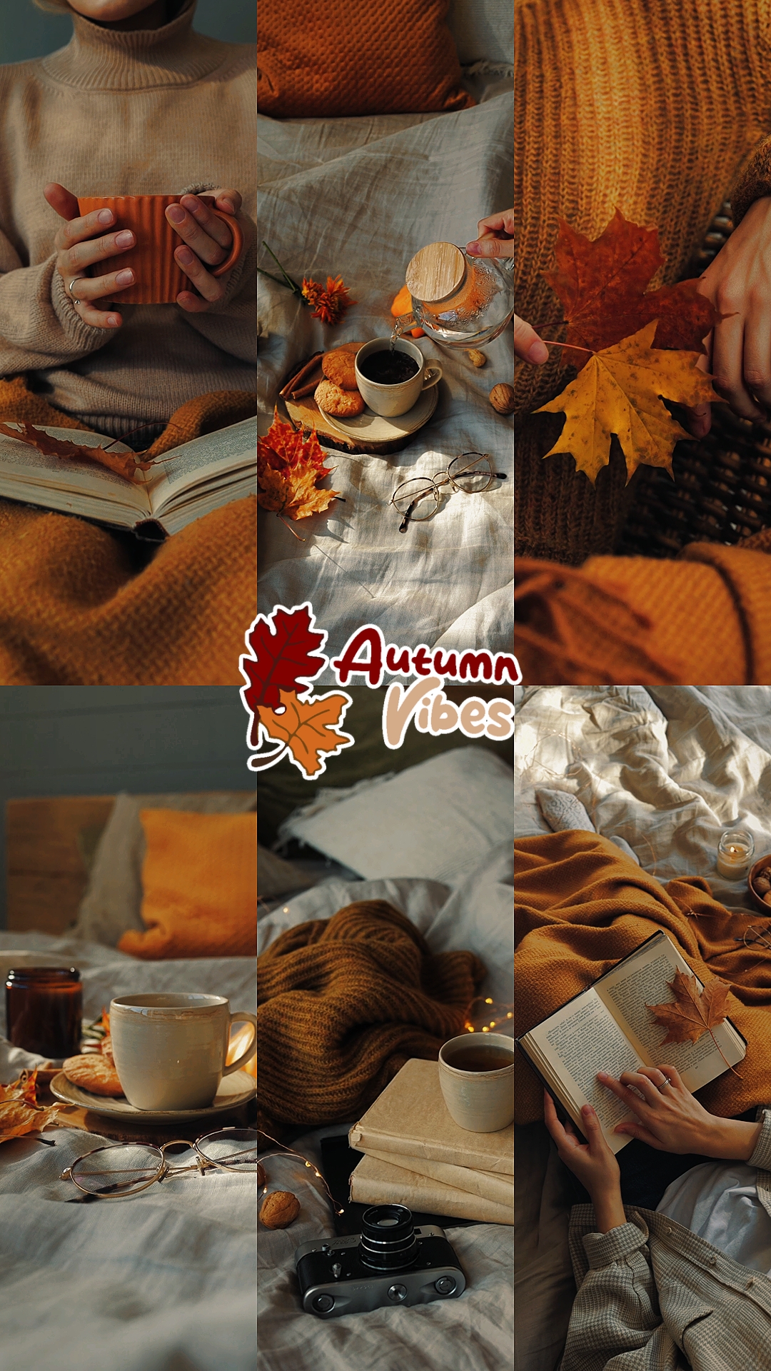 AUTUMN VIBES