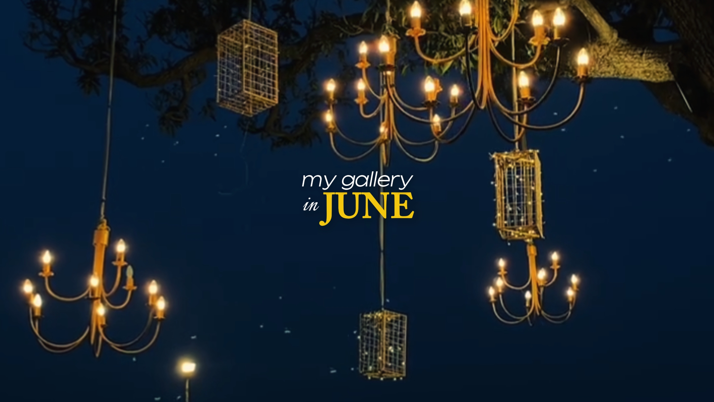 Mi galería en junio 