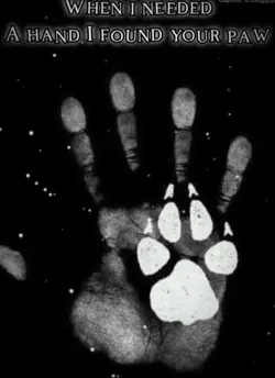 Paw edit 