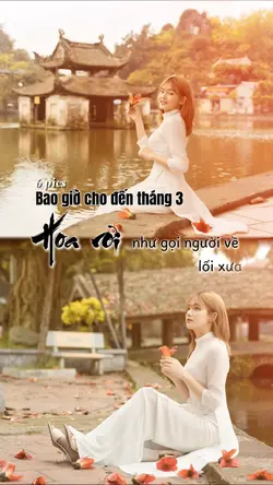 Bao giờ cho đến